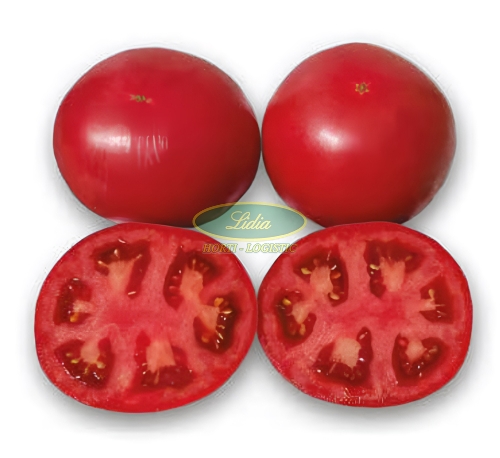 POMIDOR MALINOWY FINLEY F1 15n