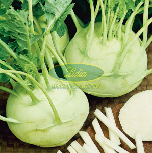 KALAREPA BIAŁA DELIKATES 50g