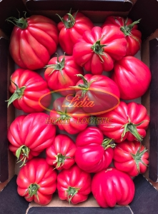 POMIDOR PTO 2068 250 nasion