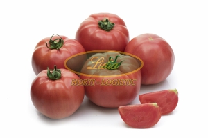POMIDOR SONGUL 250n