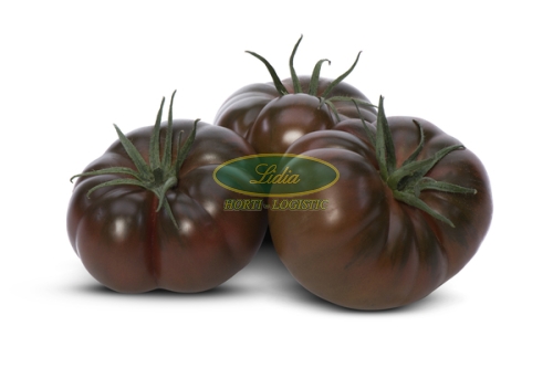 POMIDOR BIG SACHER 132-283 250 n