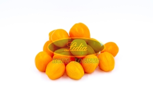 POMIDOR CHICK 250 n