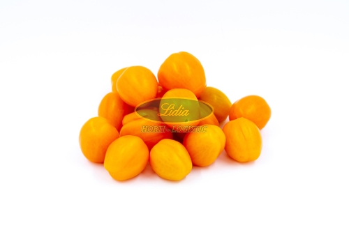 POMIDOR CHICK 250 n