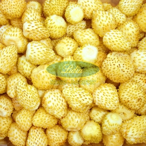 POZIOMKA ŻÓŁTA YELLOW WONDER 0,1g