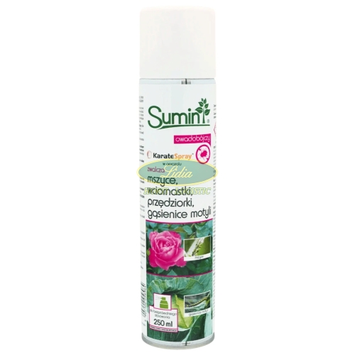 KARATE SPRAY AREOZOL 250ml
