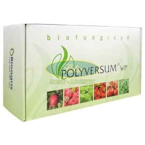 POLYVERSUM WP 3x100g