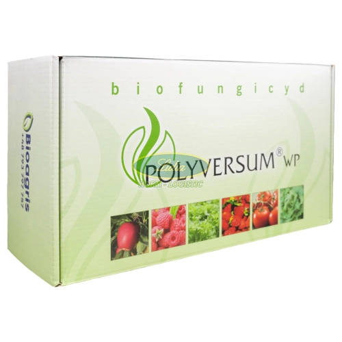 POLYVERSUM WP 3x100g