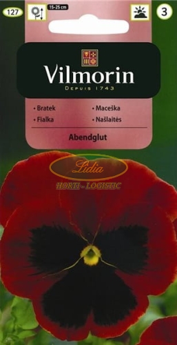 BRATEK WIELKOKWIATOWY ABENDGLUT 0,5g 127