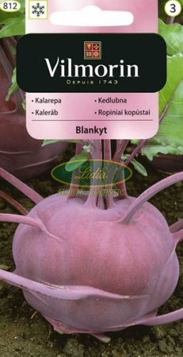 KALAREPA BLANKYT 2g FIOLETOWA