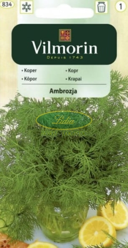 KOPER AMBROZJA 5g 834