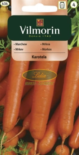 MARCHEW KAROTELA 5g 636