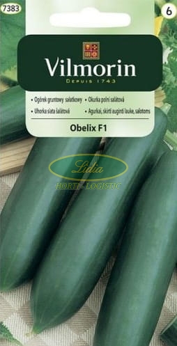 OGÓREK OBELIX F1 3g 7383