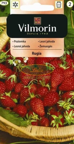 POZIOMKA RUGIA 0,2g 793