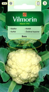 KALAFIOR BORA 1g