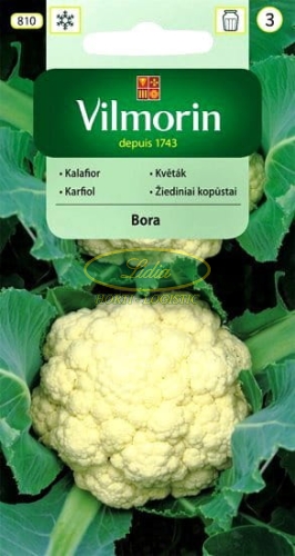 KALAFIOR BORA 1g