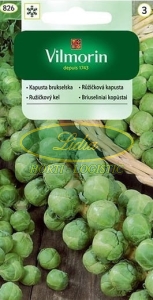 KAPUSTA BRUKSELSKA GRONINGER 2g