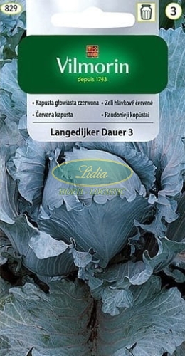 KAPUSTA CZERWONA LANGEDIJKER DAUER 2g