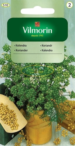 KOLENDRA 3g GC2