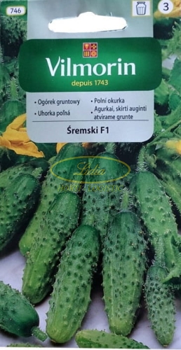 OGÓREK ŚREMSKI F1 3g