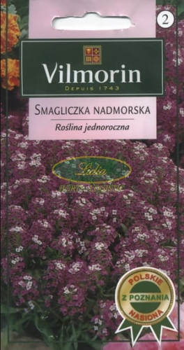 SMAGLICZKA NADMORSKA LILIA 1g