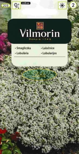 SMAGLICZKA NADMORSKA SCHNEETEPPICH BIAŁA  1g