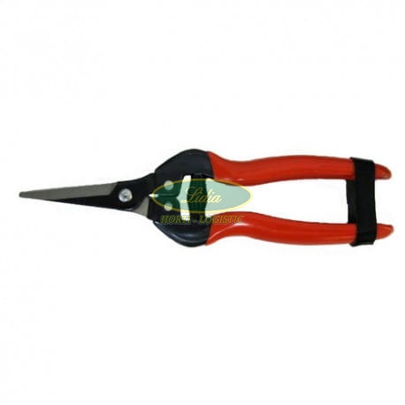 NOŻYCE MAŁE SK5 HC-5308