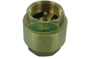 ZAWÓR ZWROTNY 2,5" GRZYB METALOWY