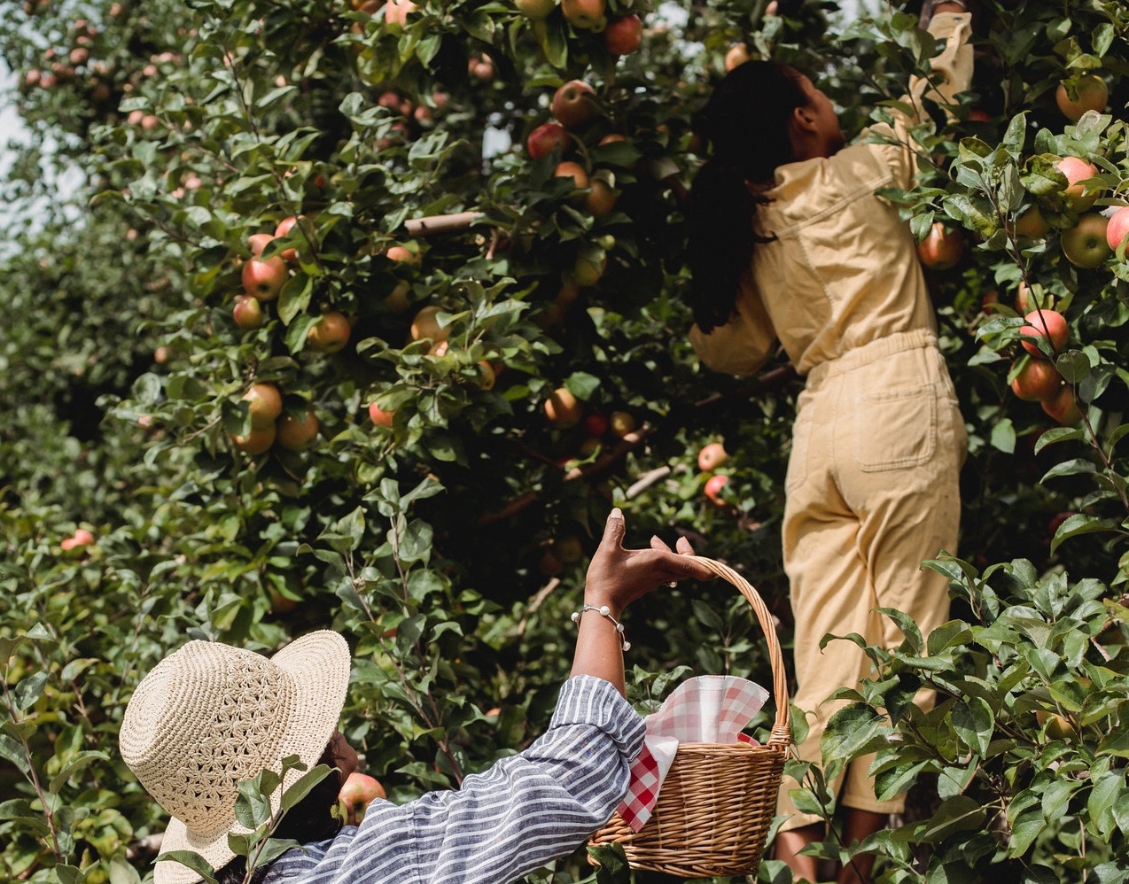 BHP w ogrodzie - czy watro je stosować?