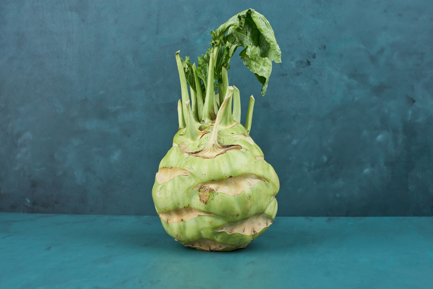 Jakie wyróżniamy odmiany kalarepy i co warto o nich wiedzieć?